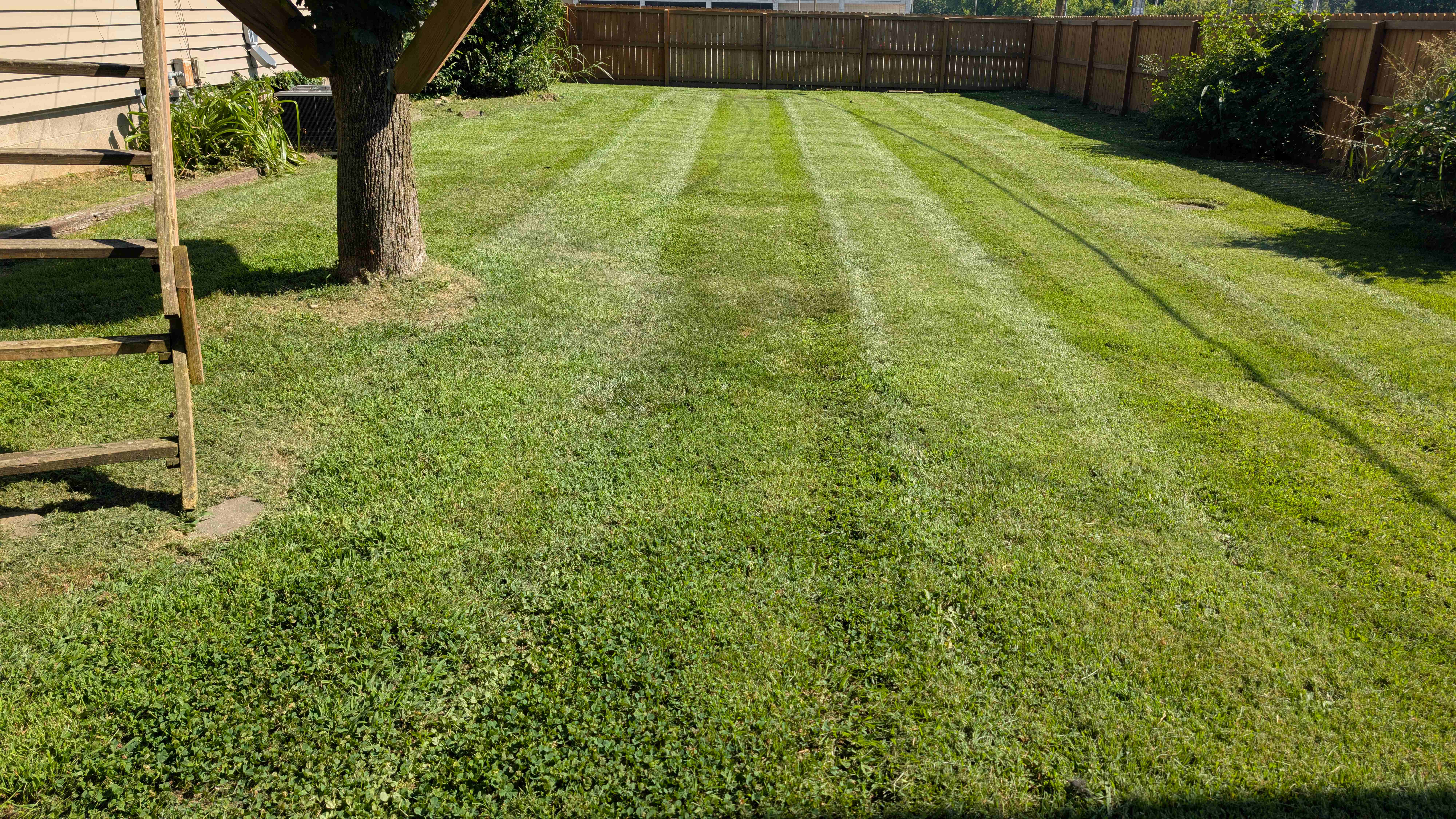 Freshly mowed backyard with crisp mower stripes